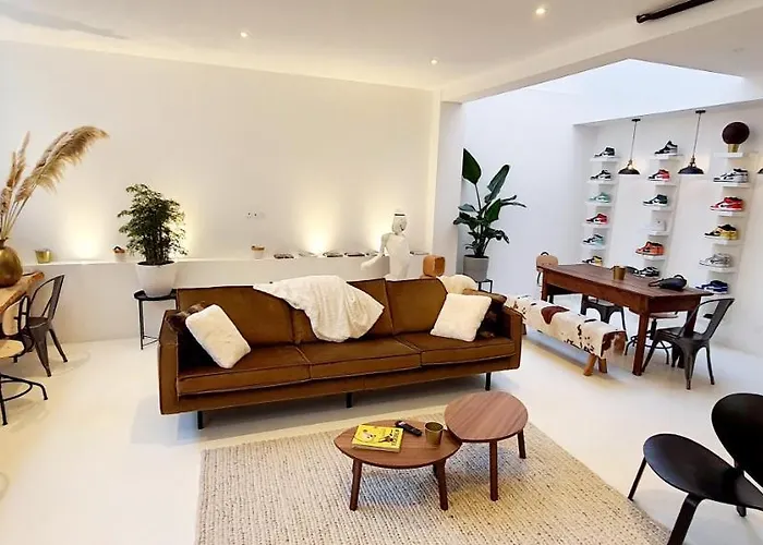Loft Jordan Nice